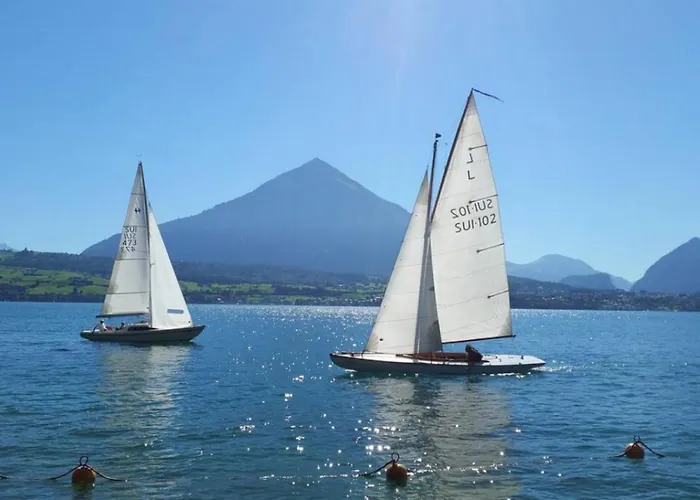 Thun Alps Scenic Views And Concierge By Swisshut *