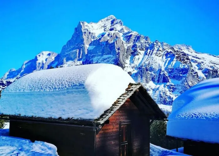 Thun Alps Scenic Views And Concierge By Swisshut Därligen