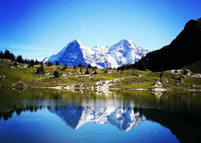 Thun Alps Scenic Views And Concierge By Swisshut *