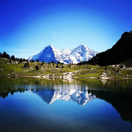 Thun Alps Scenic Views And Concierge By Swisshut *