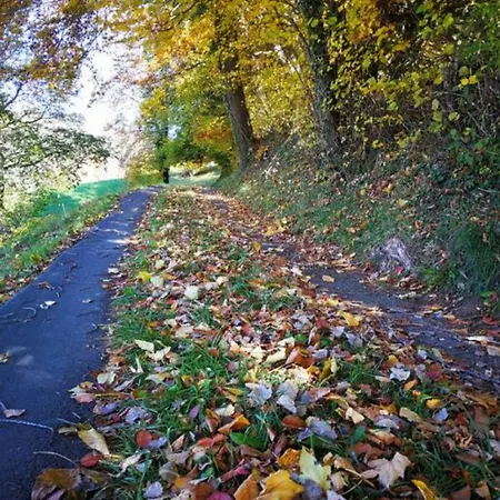 דירה Thun Alps Scenic Views And Concierge By Swisshut Därligen